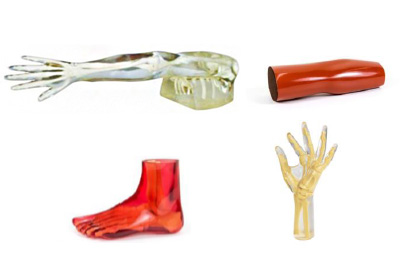 Body Section Phantoms