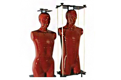 Alderson Radiation Therapy (ART) Phantom 美国RSD Alderson 放射治疗 (ART) 模体